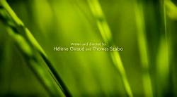 خیلی خیلی کوچک (2) (منجمدشده)